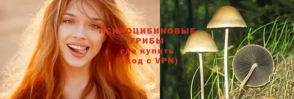 ешки Белокуриха