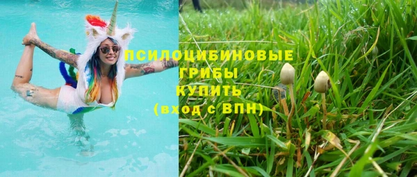 ешки Белокуриха