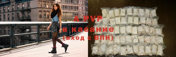 ешки Белокуриха